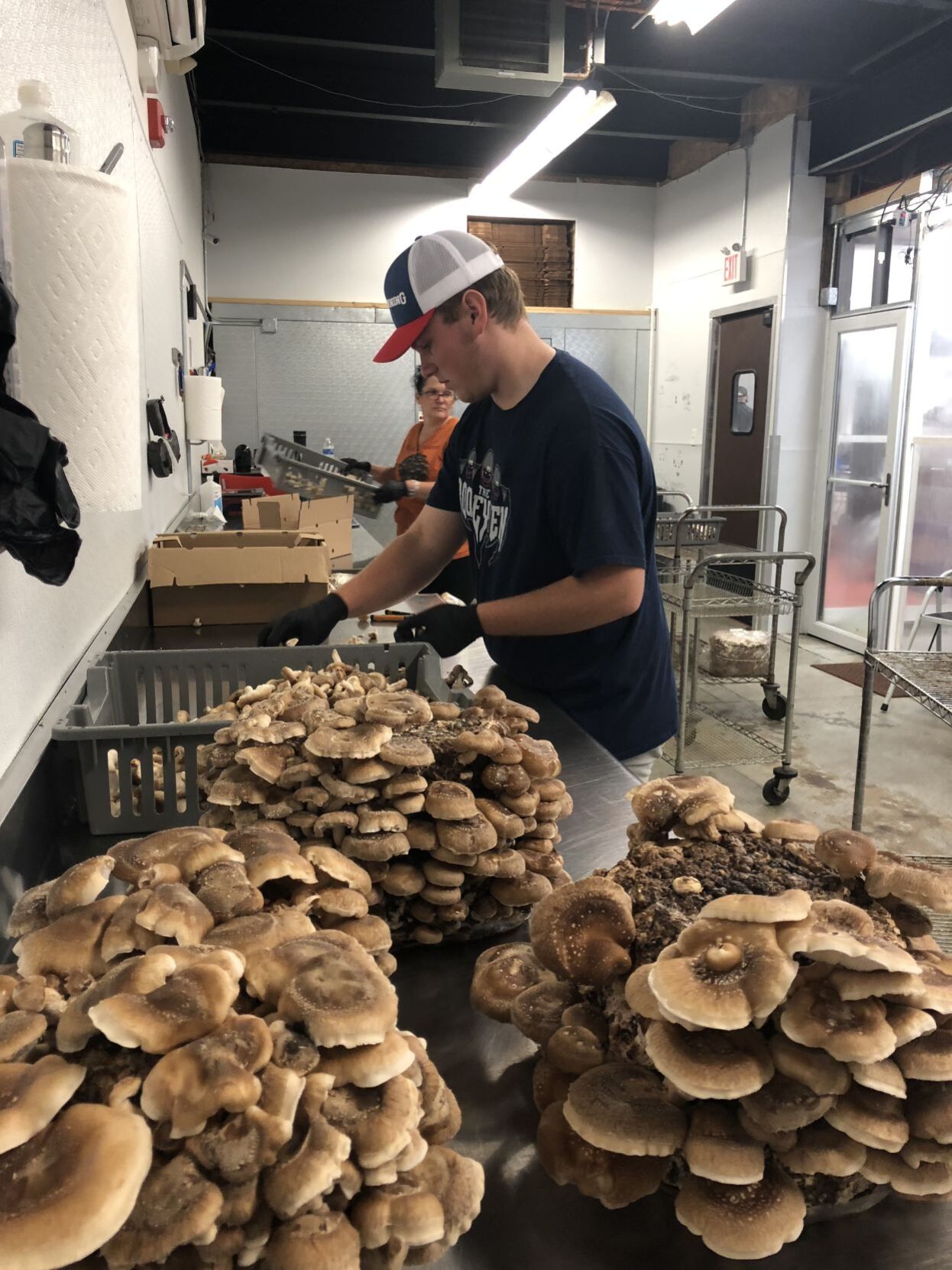 Preparing shiitake mushrooms